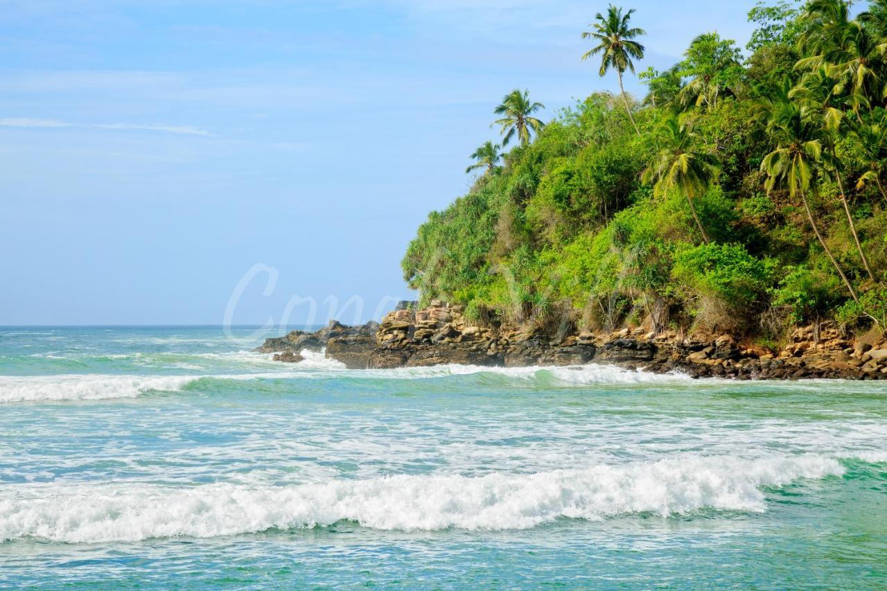 Grand Conch Villa تانجالي المظهر الخارجي الصورة
