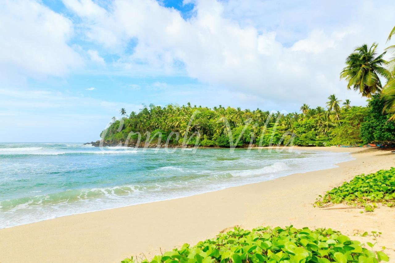 Grand Conch Villa تانجالي المظهر الخارجي الصورة